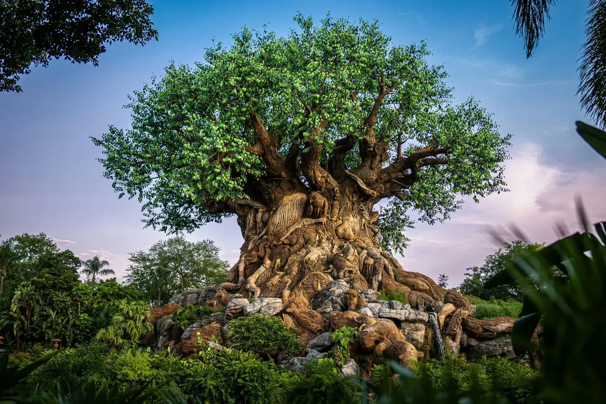 The Tree of Life at Animal Kingdom, Walt Disney World